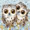 RIOLIS Little Owls Diamond Mosaic Kit, Square Diamonds